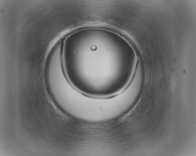 X0000081311414200701251731