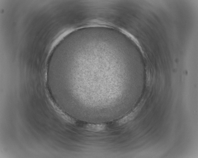 X0000081311415200701251731