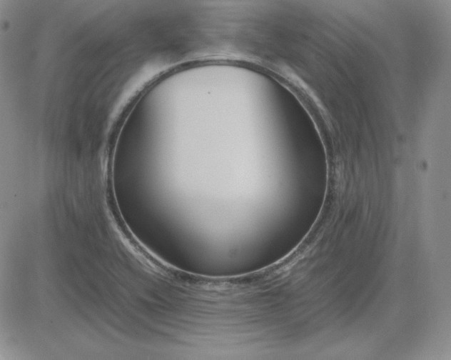 X0000081311416200701251731