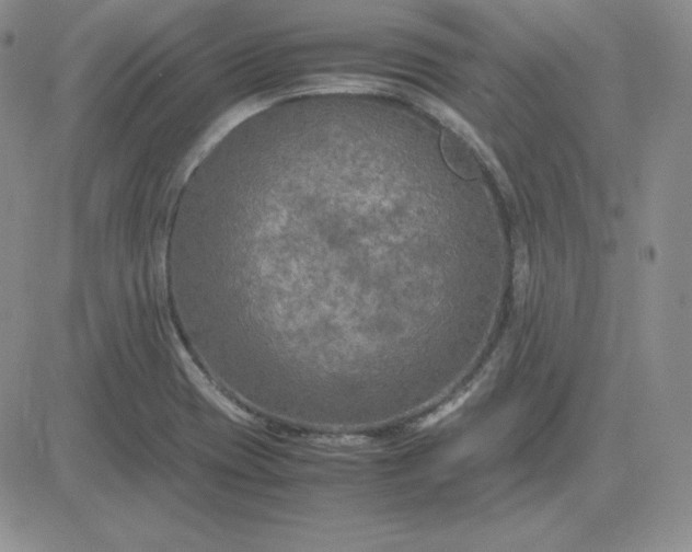 X0000081311417200701251731