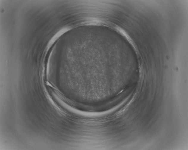 X0000081311418200701251731