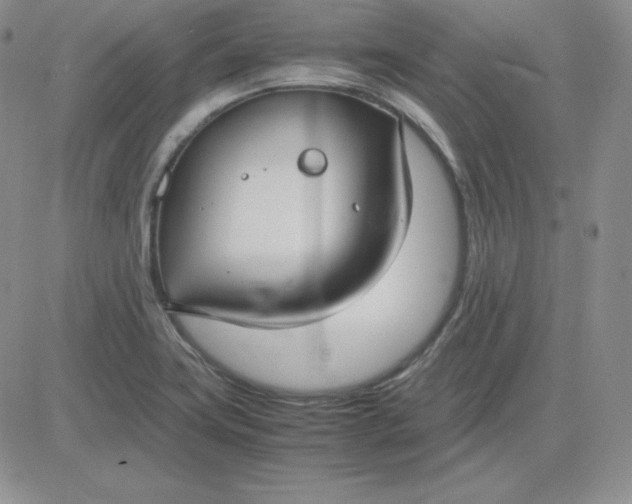 X0000081311419200701251731