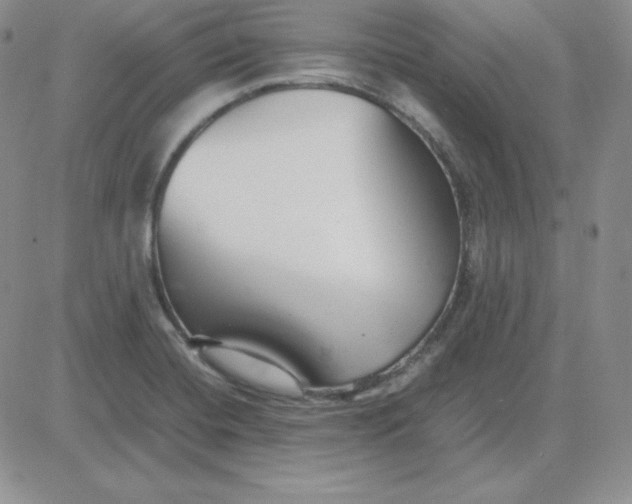 X0000081311420200701251731