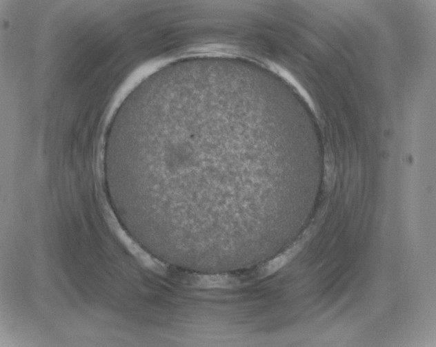 X0000081311421200701251732