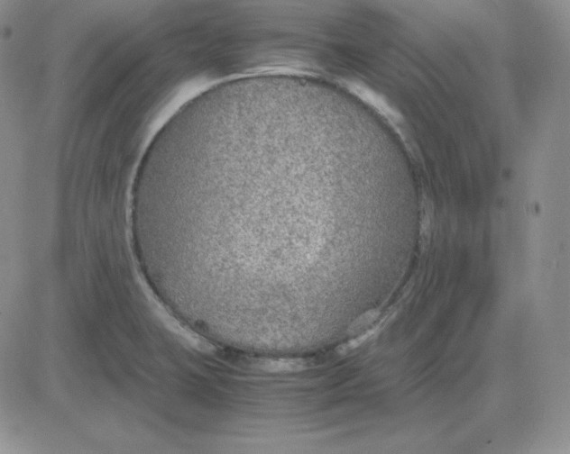 X0000081311423200701251732