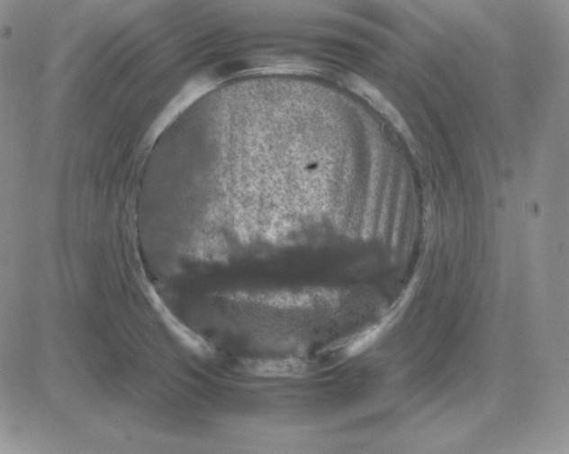 X0000081311425200701251732