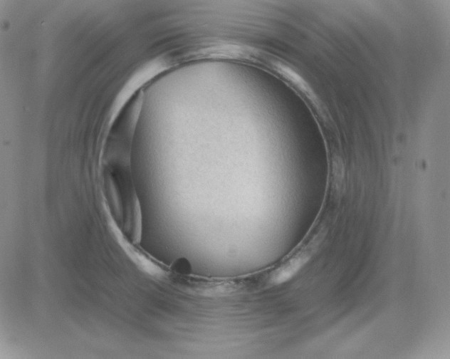 X0000081311426200701251732