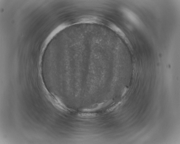 X0000081311427200701251732