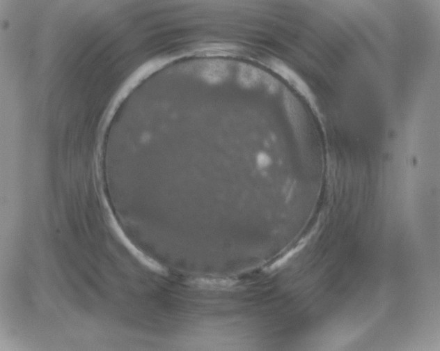 X0000081311429200701251732