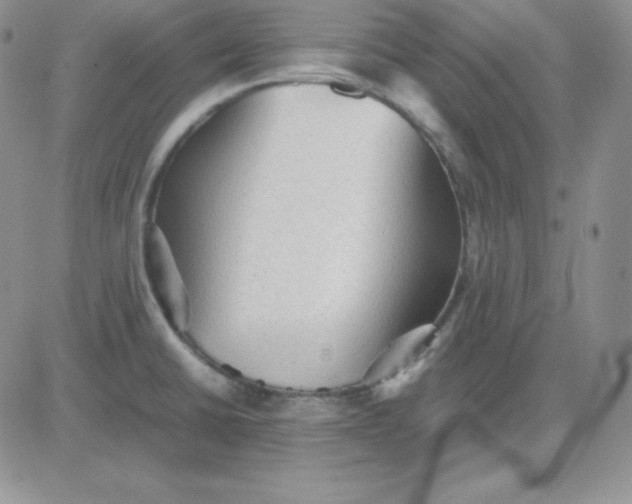 X0000081311430200701251732