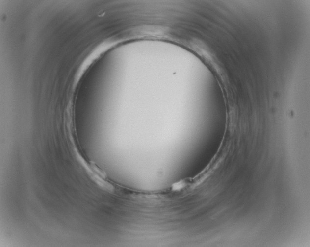 X0000081311432200701251732