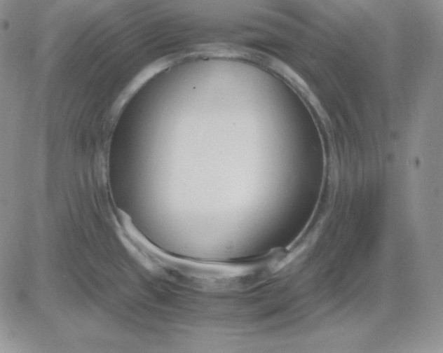 X0000081311433200701251732