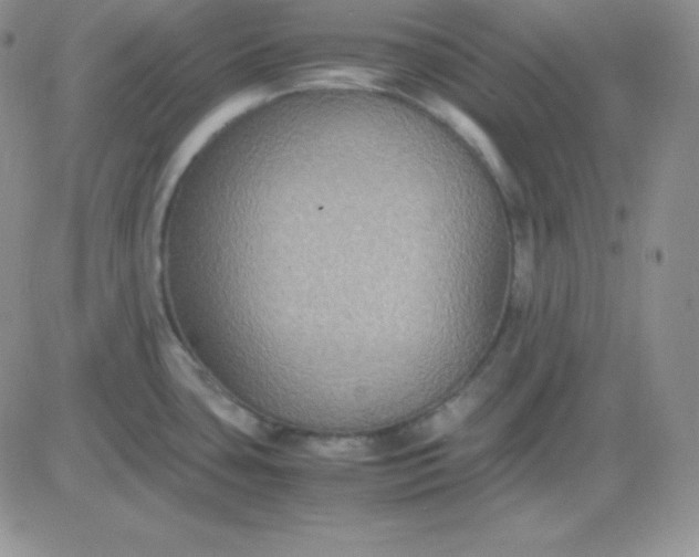 X0000081311435200701251732