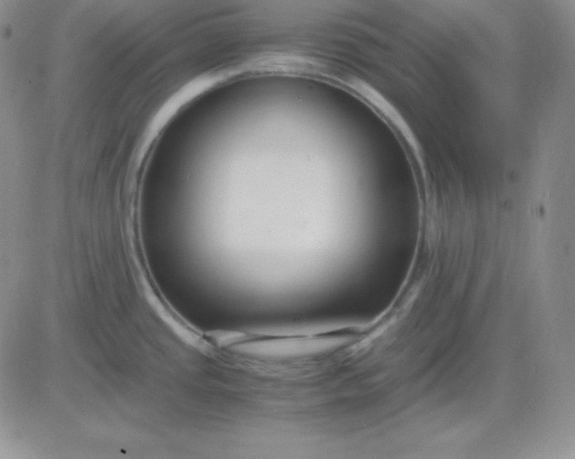 X0000081311437200701251732