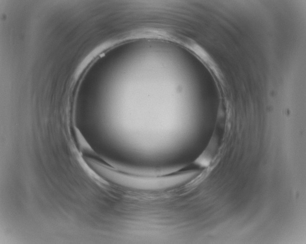 X0000081311438200701251732