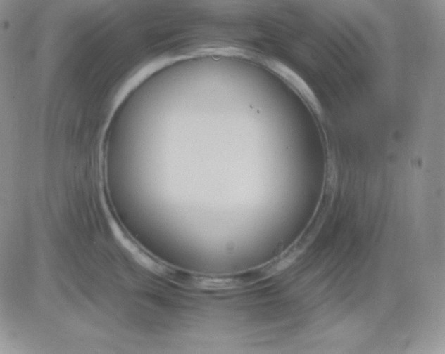 X0000081311439200701251732