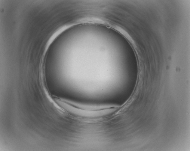 X0000081311440200701251732