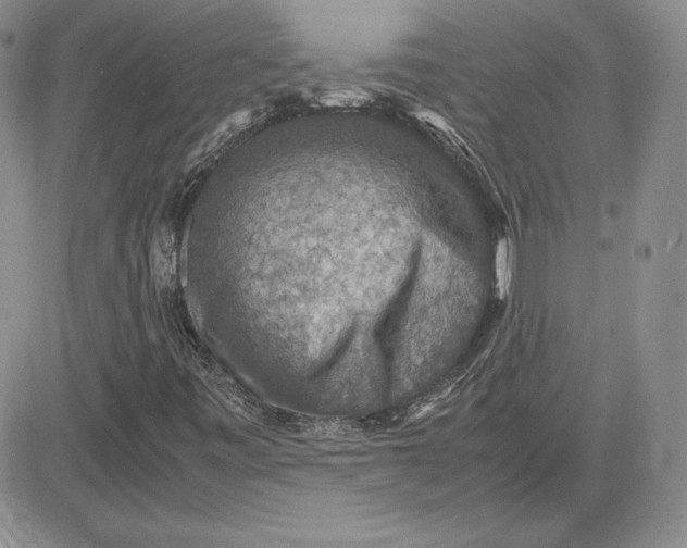 X0000081311443200701251731