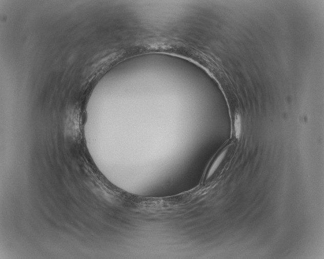 X0000081311444200701251731