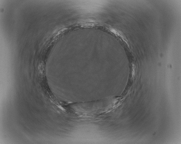 X0000081311445200701251731