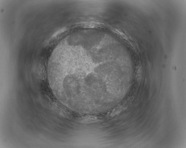 X0000081311446200701251731