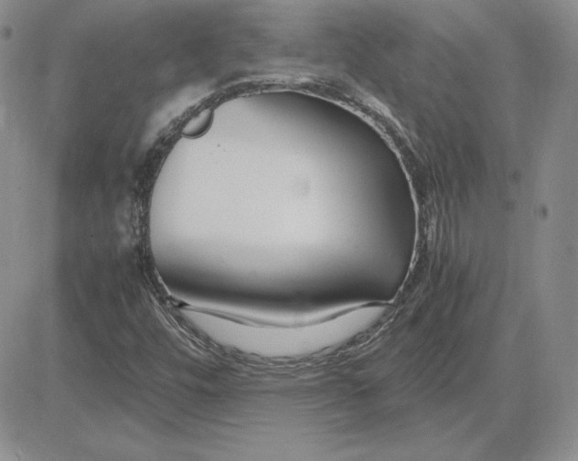 X0000081311448200701251731