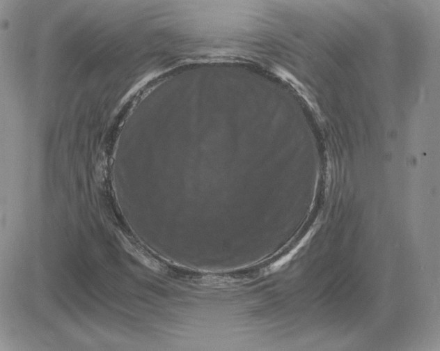 X0000081311449200701251731