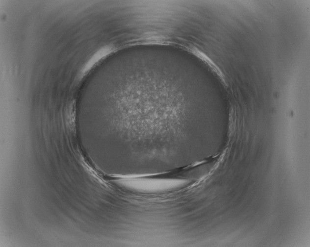 X0000081311450200701251731