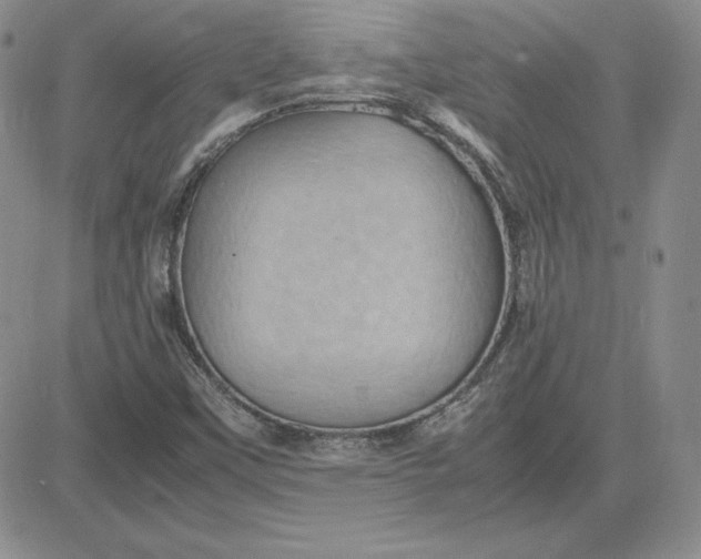 X0000081311451200701251731