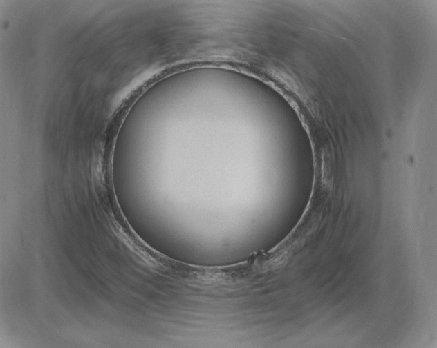 X0000081311452200701251731