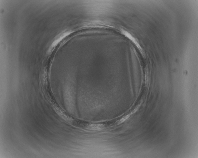 X0000081311453200701251731