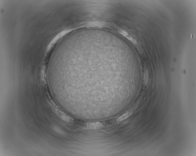 X0000081311454200701251731