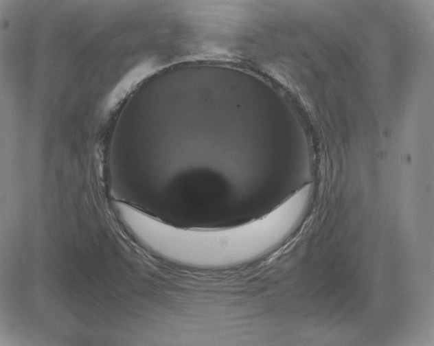 X0000081311455200701251731