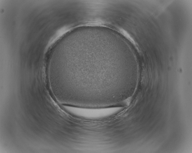 X0000081311456200701251731