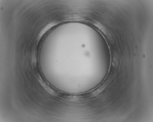 X0000081311458200701251731