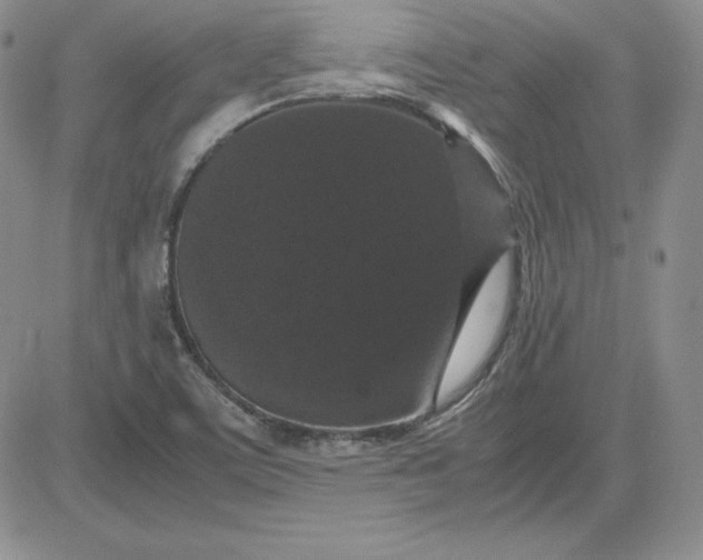 X0000081311459200701251731