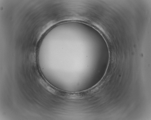 X0000081311460200701251731