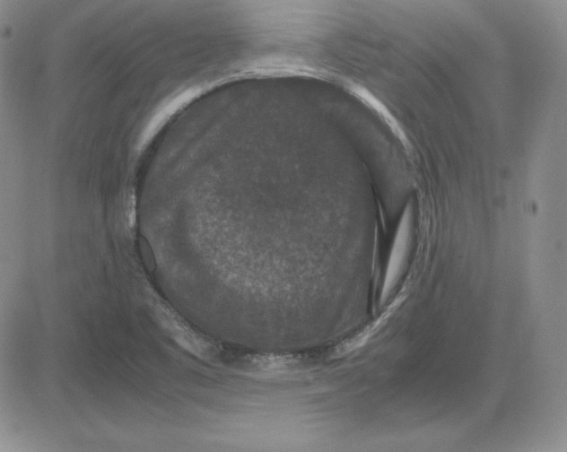 X0000081311461200701251731