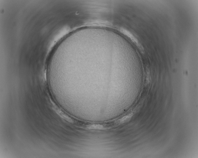 X0000081311462200701251731