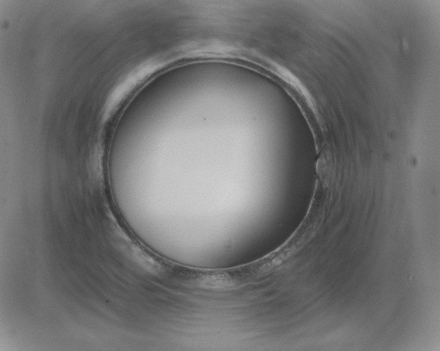 X0000081311464200701251731