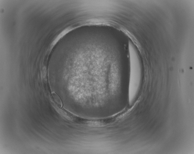 X0000081311465200701251731