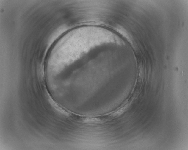 X0000081311466200701251731