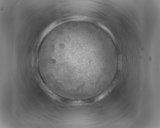 X0000081311467200701251731