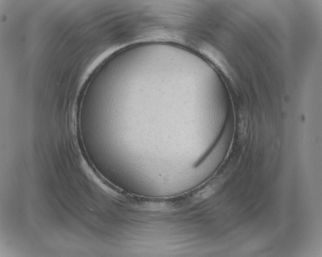 X0000081311468200701251731