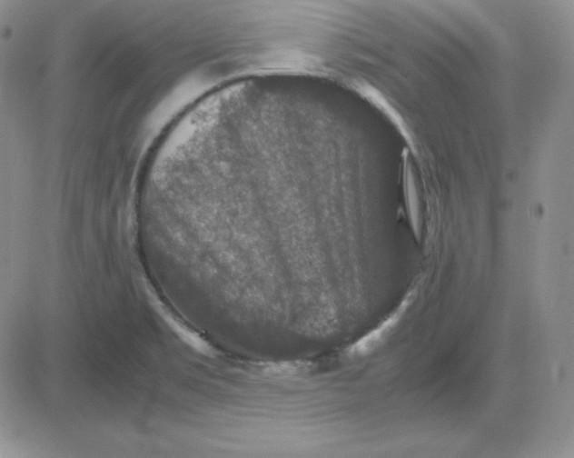 X0000081311469200701251731