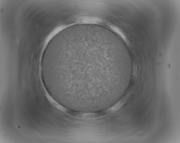 X0000081311471200701251731