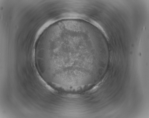 X0000081311472200701251731