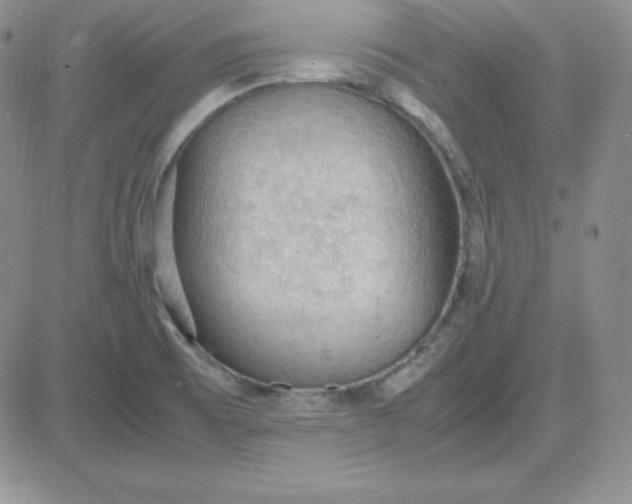 X0000081311473200701251731