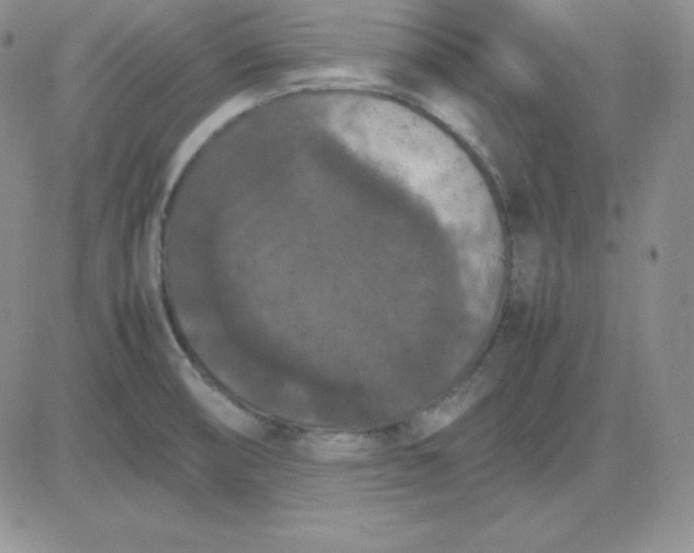 X0000081311474200701251730