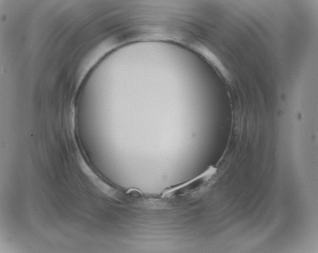 X0000081311476200701251730